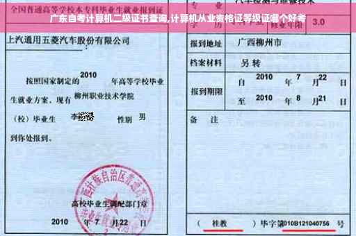 广东自考计算机二级证书查询,计算机从业资格证等级证哪个好考