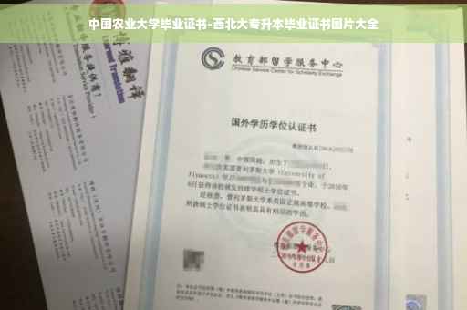 中国农业大学毕业证书-西北大专升本毕业证书图片大全