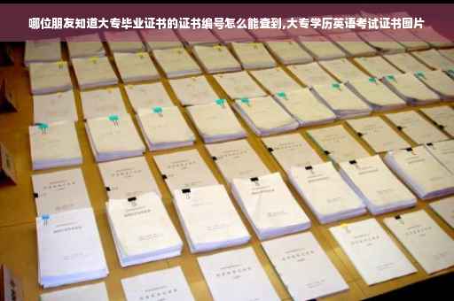 哪位朋友知道大专毕业证书的证书编号怎么能查到,大专学历英语考试证书图片