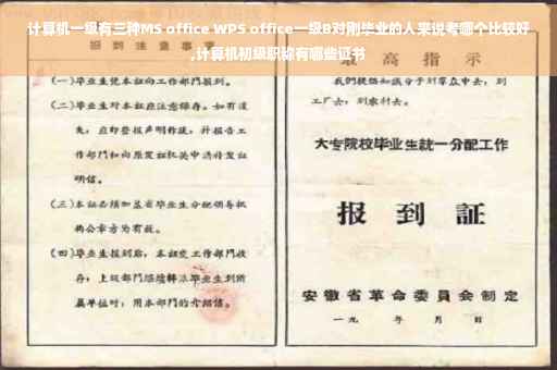 计算机一级有三种MS office WPS office一级B对刚毕业的人来说考哪个比较好,计算机初级职称有哪些证书