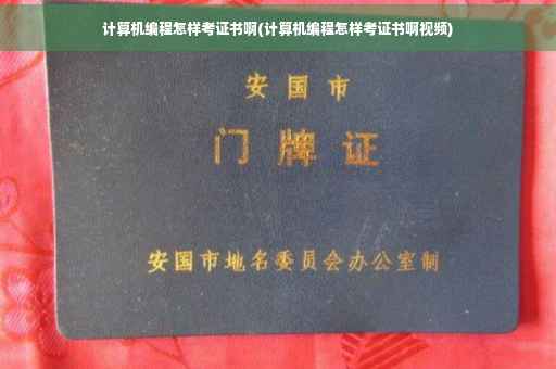 计算机编程怎样考证书啊(计算机编程怎样考证书啊视频)
