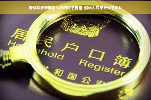 劳动就业培训中心发的证书有用-清远大专毕业证书图片