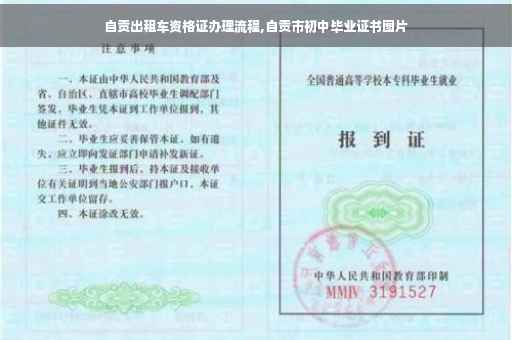 自贡出租车资格证办理流程,自贡市初中毕业证书图片