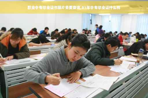职业中专毕业证书图片免费查询,01年中专毕业证什么样