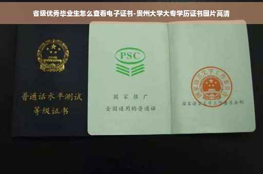 省级优秀毕业生怎么查看电子证书-贵州大学大专学历证书图片高清