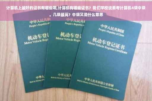 计算机上最好的证书有哪些呢,计算机有哪些证书？我们学校说要考计算机4级中级。几级最高？中级又是什么意思