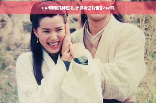 Cad有哪几种证书,计算机证书包含cad吗