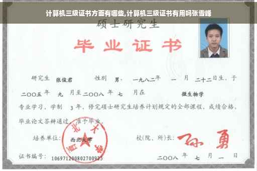 计算机三级证书方面有哪些,计算机三级证书有用吗张雪峰