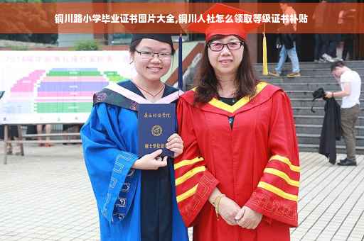 铜川路小学毕业证书图片大全,铜川人社怎么领取等级证书补贴
