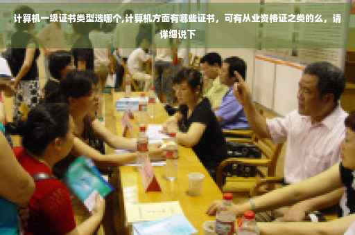 计算机一级证书类型选哪个,计算机方面有哪些证书，可有从业资格证之类的么，请详细说下