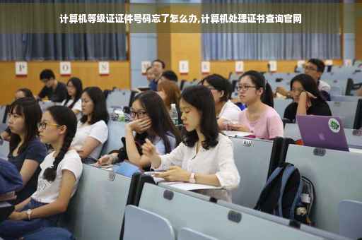 计算机等级证证件号码忘了怎么办,计算机处理证书查询官网