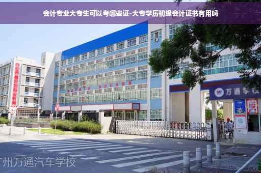 会计专业大专生可以考哪些证-大专学历初级会计证书有用吗