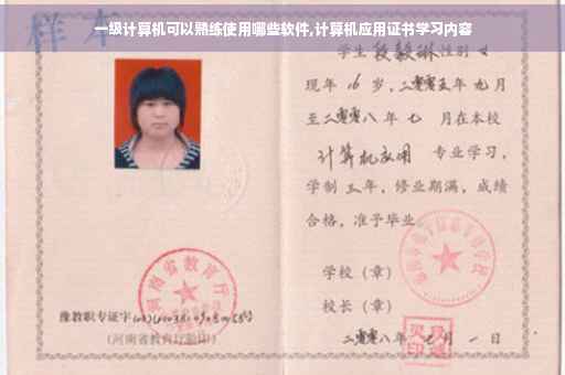 一级计算机可以熟练使用哪些软件,计算机应用证书学习内容 一级计算机可以熟练使用哪些软件,计算机应用证书学习内容