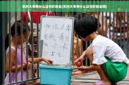 农村大专考什么证书好就业(农村大专考什么证书好就业呢)