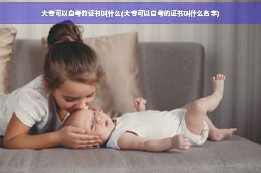 大专可以自考的证书叫什么(大专可以自考的证书叫什么名字)