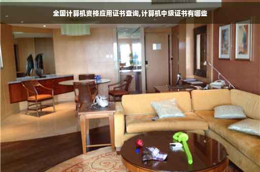 全国计算机资格应用证书查询,计算机中级证书有哪些