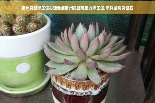 宿州灵璧焊工证办理地点宿州灵璧哪里办焊工证,怎样鉴别灵璧石