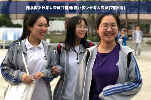 湖北多少分考大专证书有用(湖北多少分考大专证书有用啊)