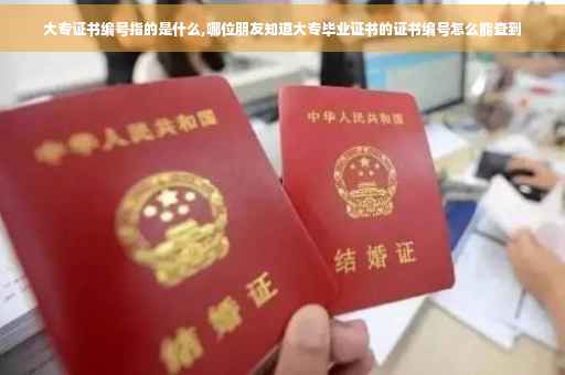 大专证书编号指的是什么,哪位朋友知道大专毕业证书的证书编号怎么能查到