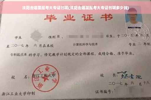 沈阳去哪里报考大专证书呢(沈阳去哪里报考大专证书呢多少钱)