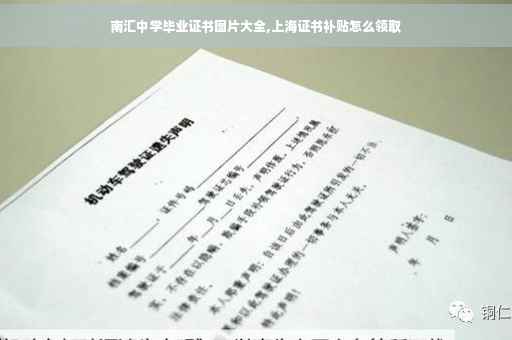 南汇中学毕业证书图片大全,上海证书补贴怎么领取