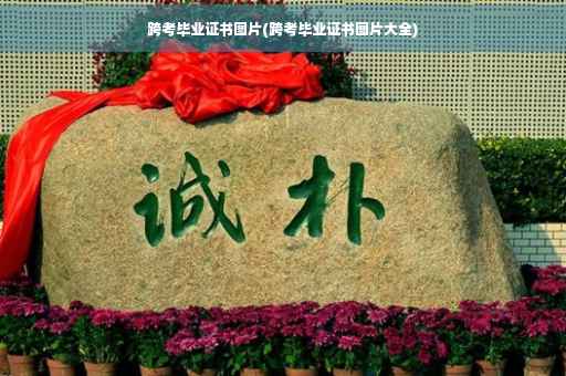 跨考毕业证书图片(跨考毕业证书图片大全)