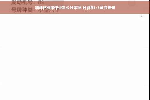 特种作业操作证怎么分等级-计算机ic3证书查询