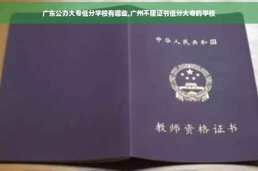 广东公办大专低分学校有哪些,广州不限证书低分大专的学校