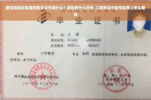 微信钱包设置里的数字证书是什么？启动有什么好处,工程师证书编号在网上怎么查询