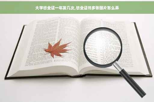 大学毕业证一年发几次,毕业证书多张图片怎么弄