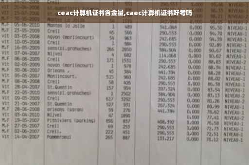 ceac计算机证书含金量,caec计算机证书好考吗