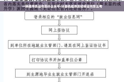 一级程序员证书是什么水平-计算机程序员初级证书怎么考 一级程序员证书是什么水平-计算机程序员初级证书怎么考