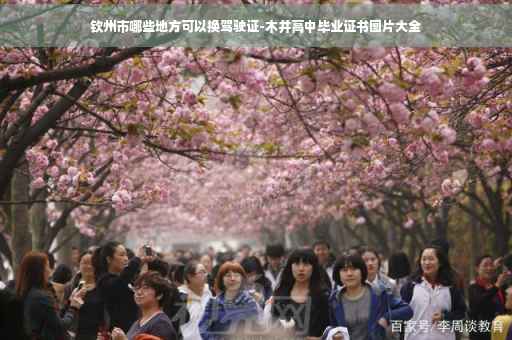 钦州市哪些地方可以换驾驶证-木井高中毕业证书图片大全