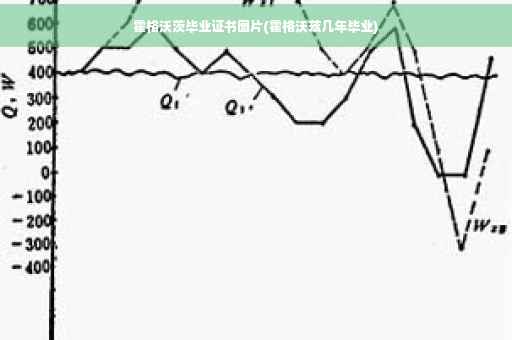 霍格沃茨毕业证书图片(霍格沃兹几年毕业)