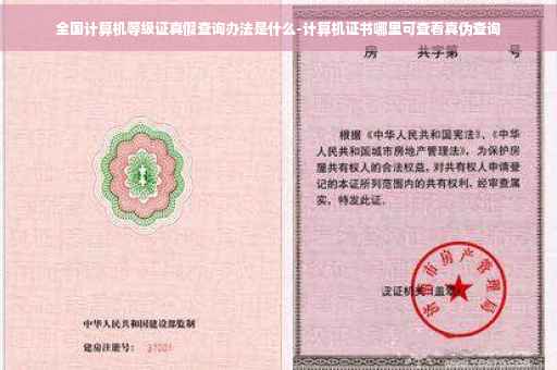 全国计算机等级证真假查询办法是什么-计算机证书哪里可查看真伪查询