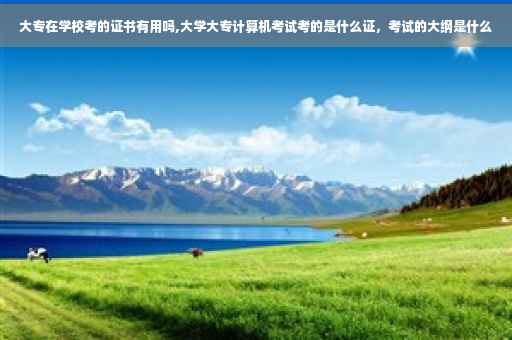 大专在学校考的证书有用吗,大学大专计算机考试考的是什么证，考试的大纲是什么