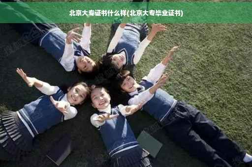 北京大专证书什么样(北京大专毕业证书) 北京大专证书什么样(北京大专毕业证书)