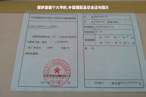 薛梦琪哪个大学的,中国舞蹈系毕业证书图片