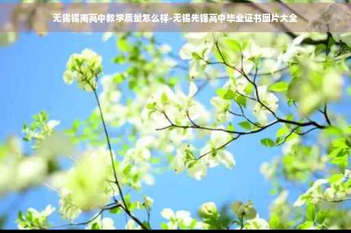 无锡锡南高中教学质量怎么样-无锡先锋高中毕业证书图片大全
