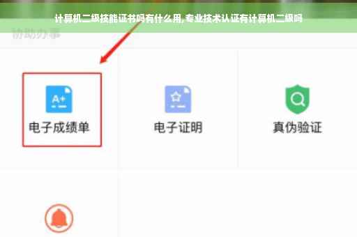 计算机二级技能证书吗有什么用,专业技术认证有计算机二级吗