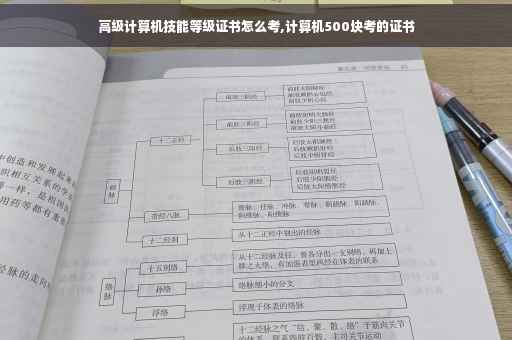 高级计算机技能等级证书怎么考,计算机500块考的证书