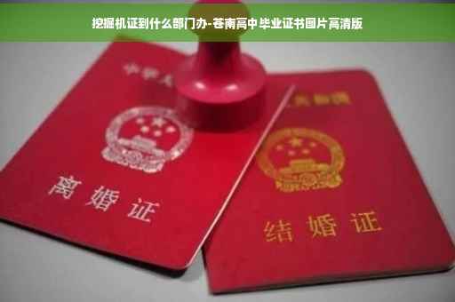 挖掘机证到什么部门办-苍南高中毕业证书图片高清版