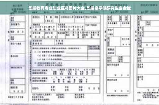 华威教育专业毕业证书图片大全,华威商学院研究生含金量