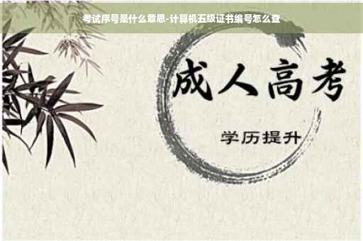 考试序号是什么意思-计算机五级证书编号怎么查