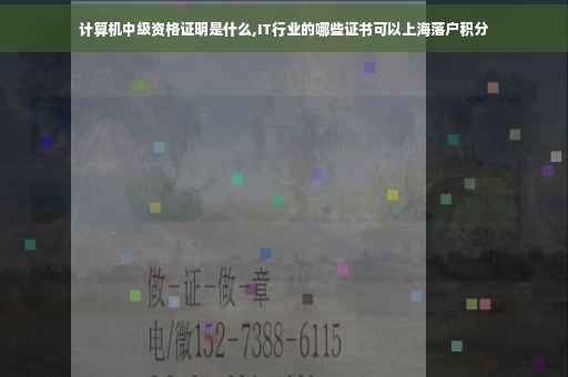 计算机中级资格证明是什么,IT行业的哪些证书可以上海落户积分