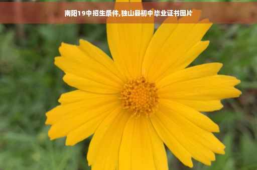 南阳19中招生条件,独山县初中毕业证书图片