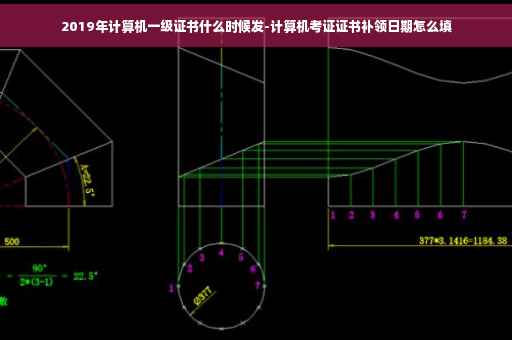 2019年计算机一级证书什么时候发-计算机考证证书补领日期怎么填 2019年计算机一级证书什么时候发-计算机考证证书补领日期怎么填