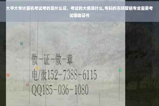 大学大专计算机考试考的是什么证，考试的大纲是什么,专科的市场营销专业需要考试哪些证书