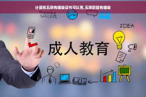 计算机五级有哪些证书可以用,五级职称有哪些