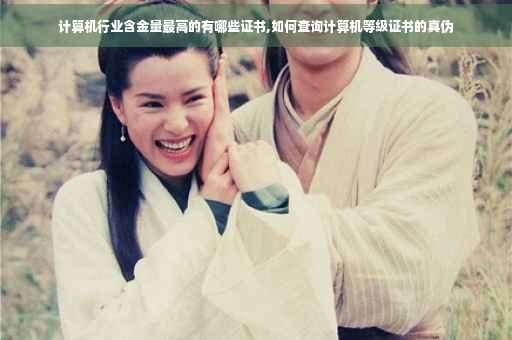 计算机行业含金量最高的有哪些证书,如何查询计算机等级证书的真伪